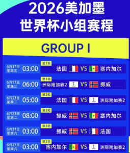 2026年世界杯预选赛精彩画面